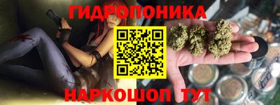 стаф Нарткала