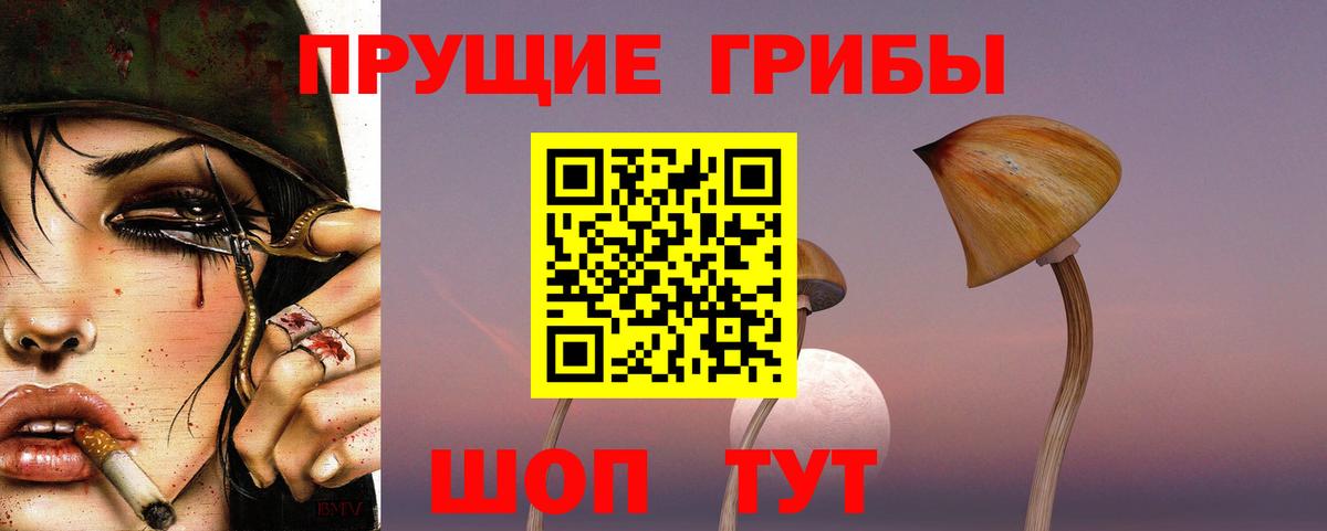 Юрга  Галлюциногенные грибы Psilocybine cubensis  Вход с VPN  Псилоцибиновые грибы мицелий 